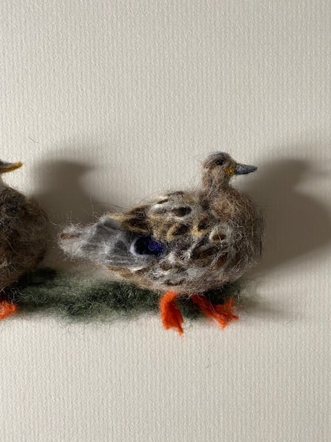 Image of Three Mallard Ducks 
