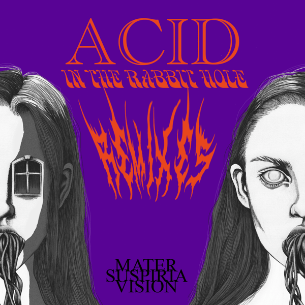 Image of HALLOWEEN WEEK EXCLUSIVE! MATER SUSPIRIA VISION - Acid in the Rabbit Hole Remixes CDR