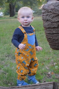 Image of Toddler Reversible Dungarees - Dragons