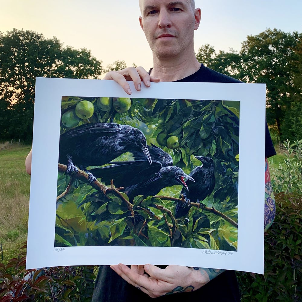Image of Ravens – Krabat, Juro, Tonda