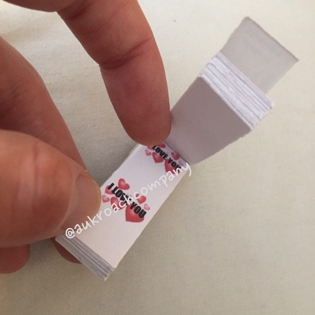 Image of 'I love you' Roachbook