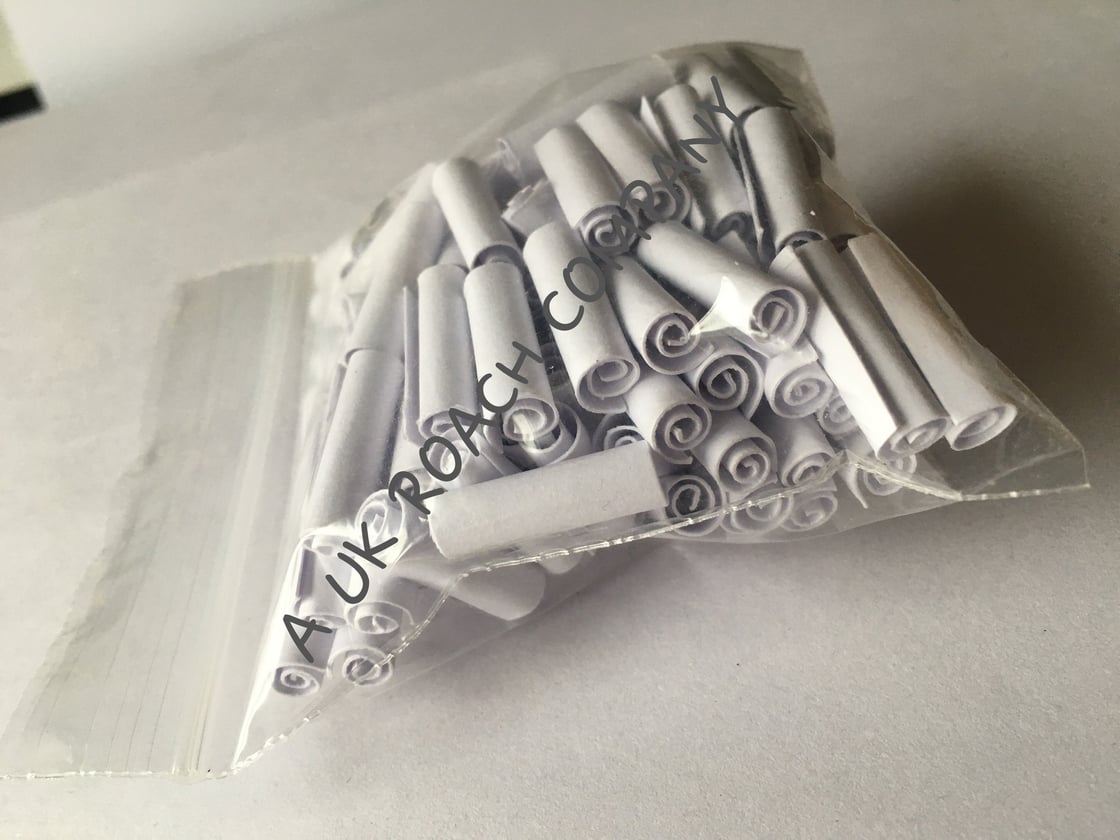 Image of Plain Roach Card (100 roaches)