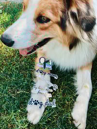 Image 2 of The Pack (All 4 Stickers)