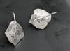 Birch Hooks