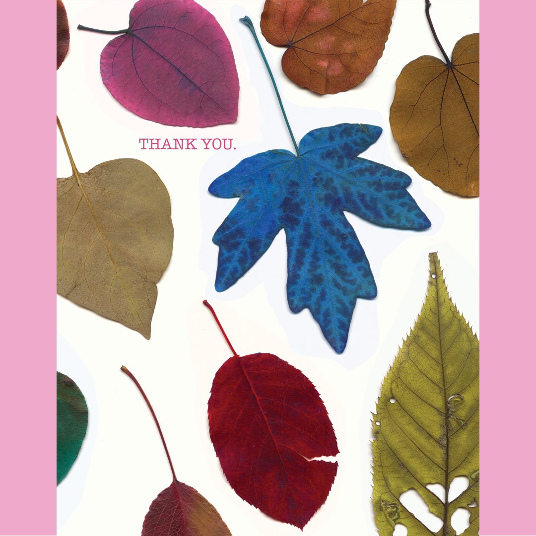 Image of Thank You! (leaves) card
