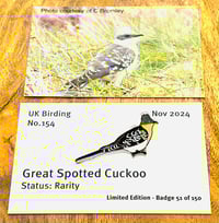 Image 1 of Great Spotted Cuckoo - No.154 - UK Birding Pins
