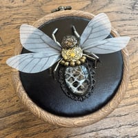 Image 1 of Snake skin bee (c,  3 inches)