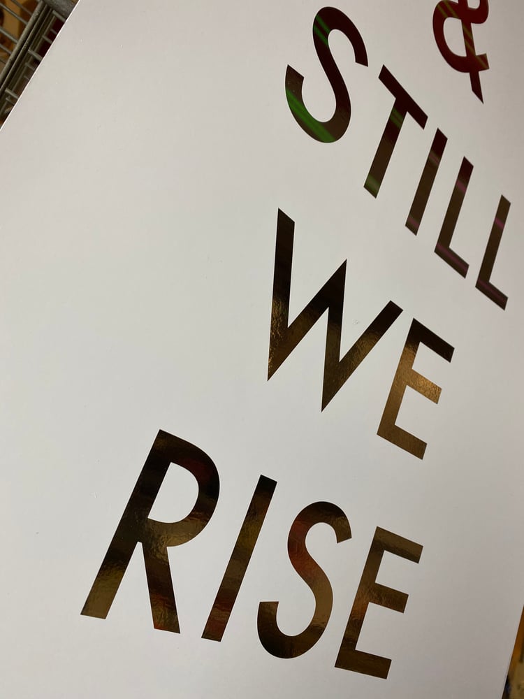 Image of & STILL WE RISE [+Boarders] 