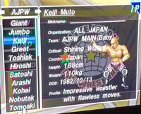 Image 8 of Fire Pro Wrestling Returns CAWs