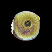 Image 2 of Med. Bald Eagle - Flamepwork Glass Sculpture Bead