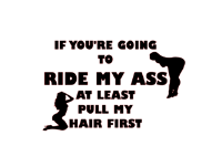 Image 2 of If You're Going To Ride My Ass At Least Pull My Hair First