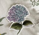 Image 2 of Stickers (only hydrangeas left !)