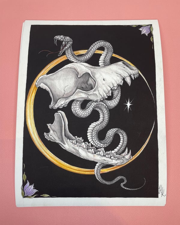 Image of Skull Set