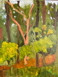 At. The Arboretum 