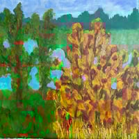 Oaks 4