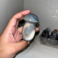 Image 4 of Orca Agate Mushroom C