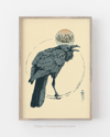 Old and Grumpy Raven King