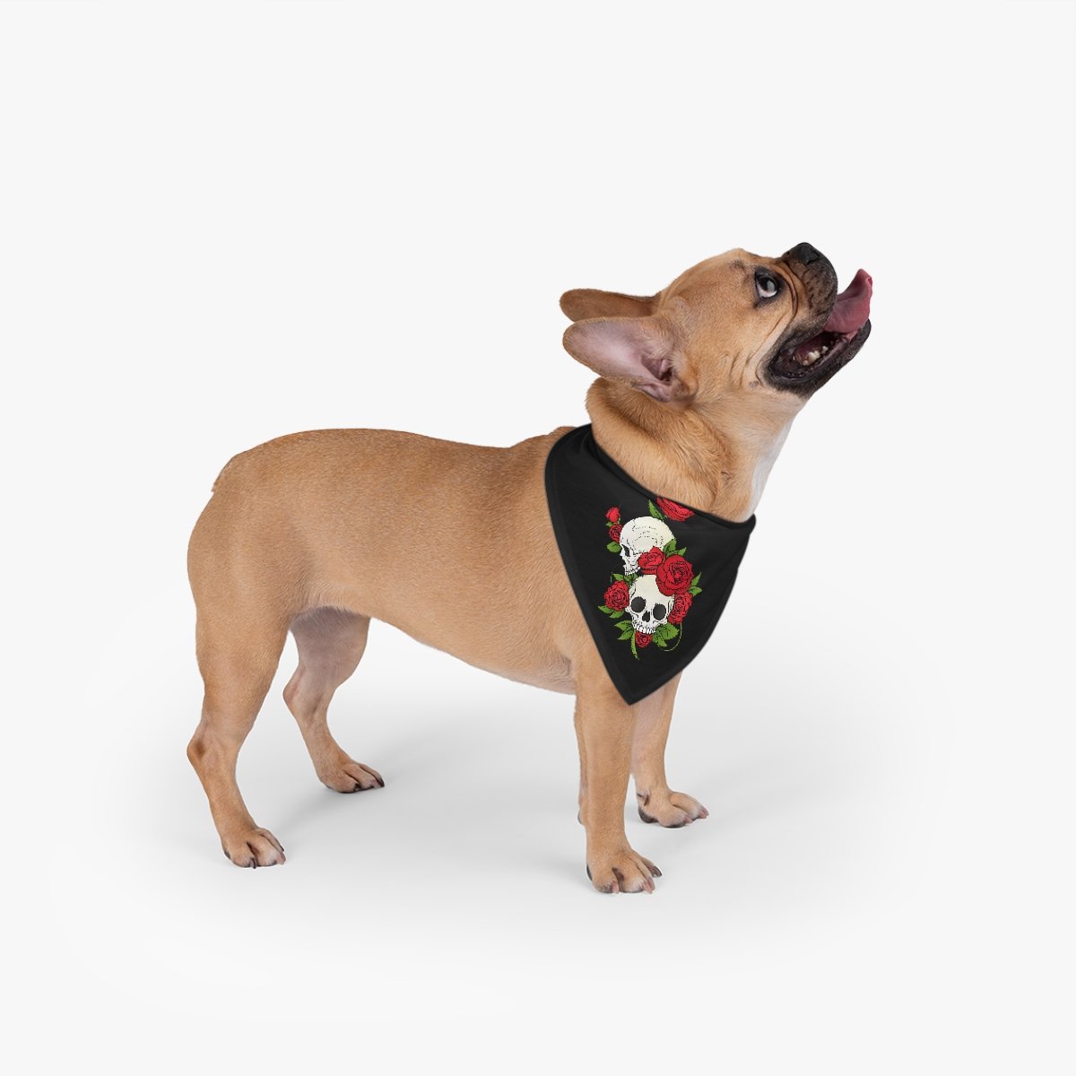 Image of Skulls & Roses Pet Bandana