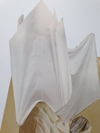 Image 3 of 'Loch Nurse Monster'