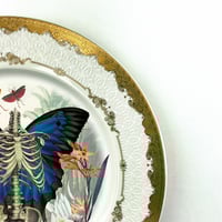 Image 3 of Skeleton N Wings - Fine China Plate - #0789