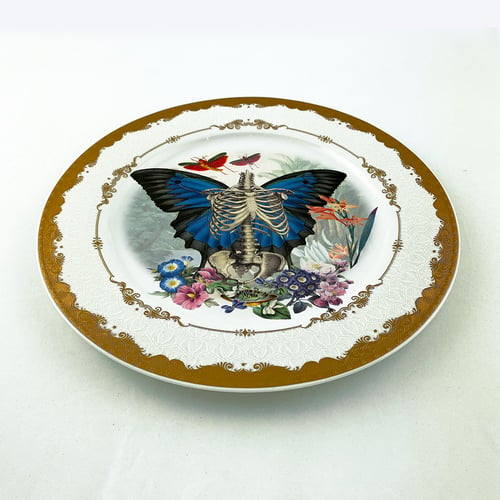 Image of Skeleton N Wings - Large Fine China Plate - #0789