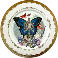 Image 1 of Skeleton N Wings - Large Fine China Plate - #0789