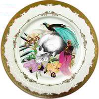 Image 1 of Faizan Skull - Large Fine China Plate - #0772