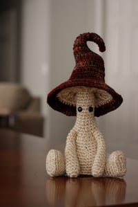 Malabrigo Mushroom