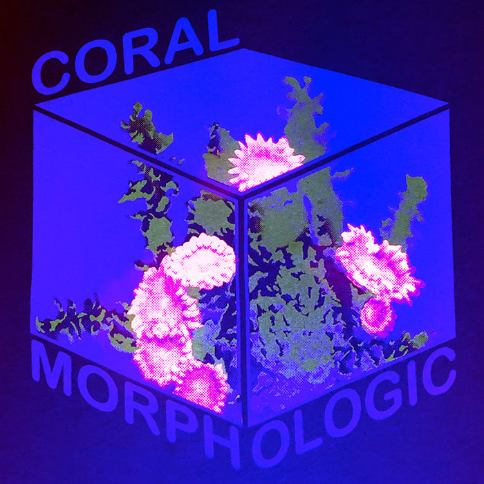 Image of Coral Morphologic Fluorescent Tee