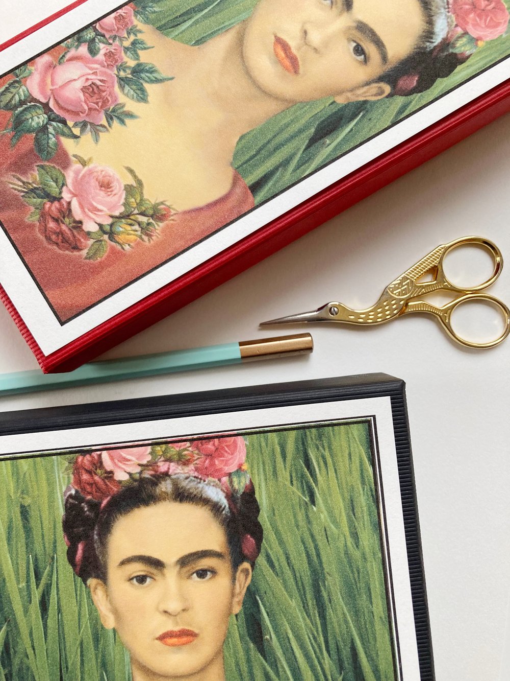 Image of FRIDA ⼺2