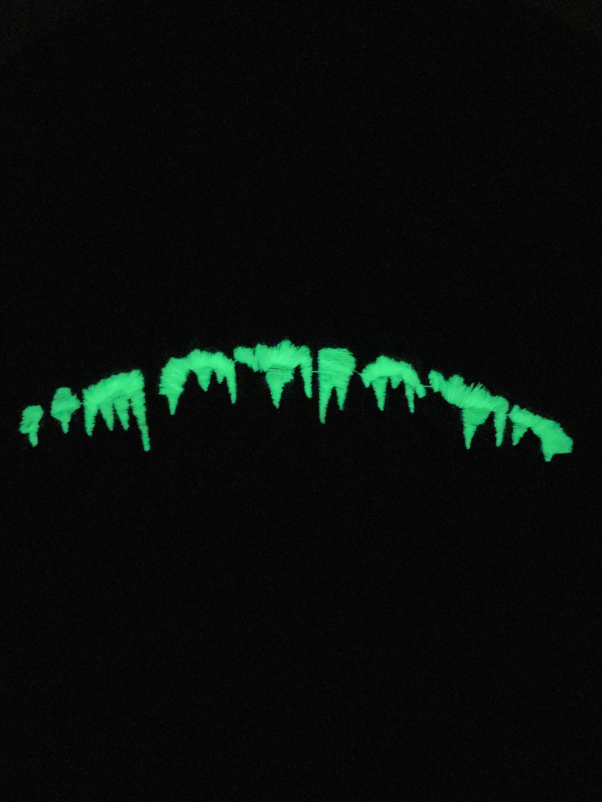 Image of “ARTIST” SNOW Beanie (glow in the dark) F&F