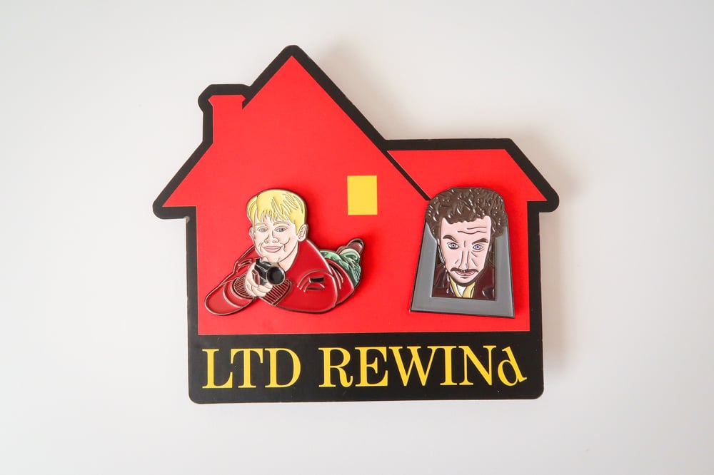 Cat Flap Double Pin Set