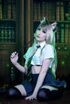 Halloween Slytherin Familiar Set