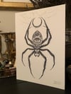 Arachne- A4 Print