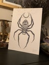Arachne- A4 Print