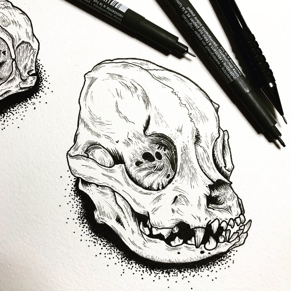 Image of Frenchie Skull- A5 Print