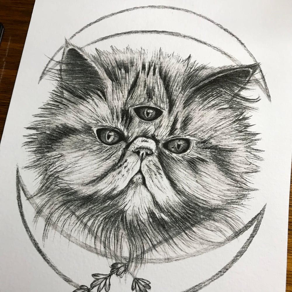 Image of Three Eyed Persian Cat- A5 Print