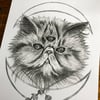 Three Eyed Persian Cat- A5 Print