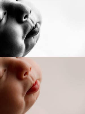 Image of Dawn's Macro Black and White Photoshop Action for Photoshop CC