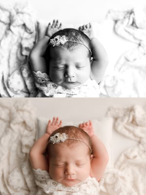 Image of Dawn's Macro Black and White Photoshop Action for Photoshop CC