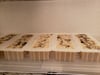 Goat Milk Soap--Shop Choice Box