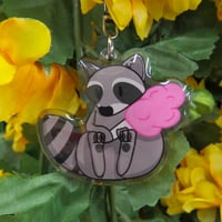 Razzy the Raccoon