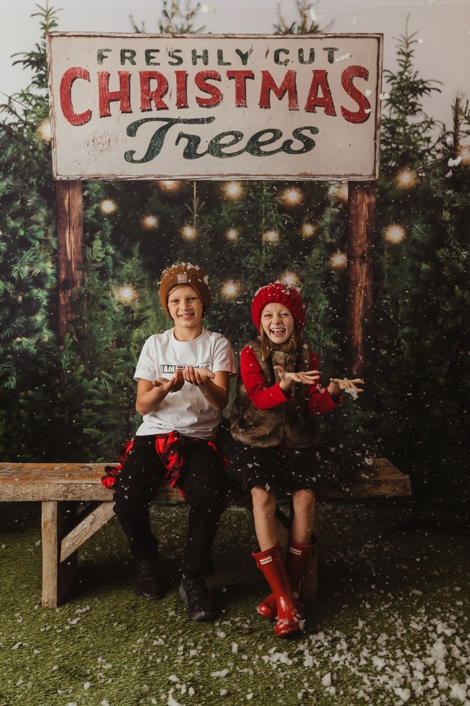 Image of Christmas Tree Mini Sessions SATURDAY  NOVEMBER 27th