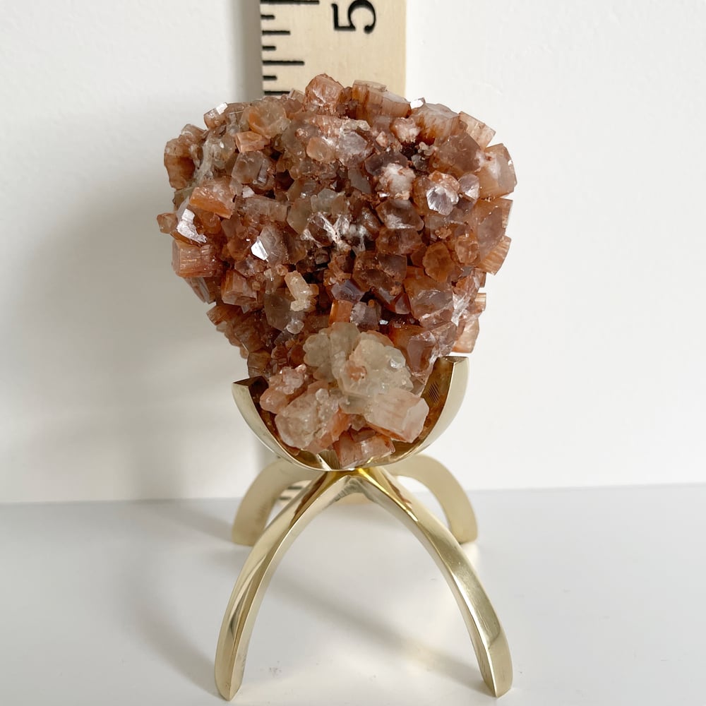 Image of Aragonite no.58 + Brass Claw Stand
