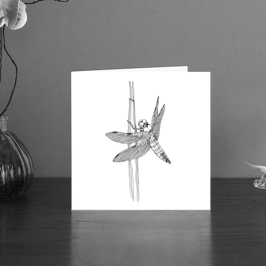 Image of Black & white art card of a Dragonfly