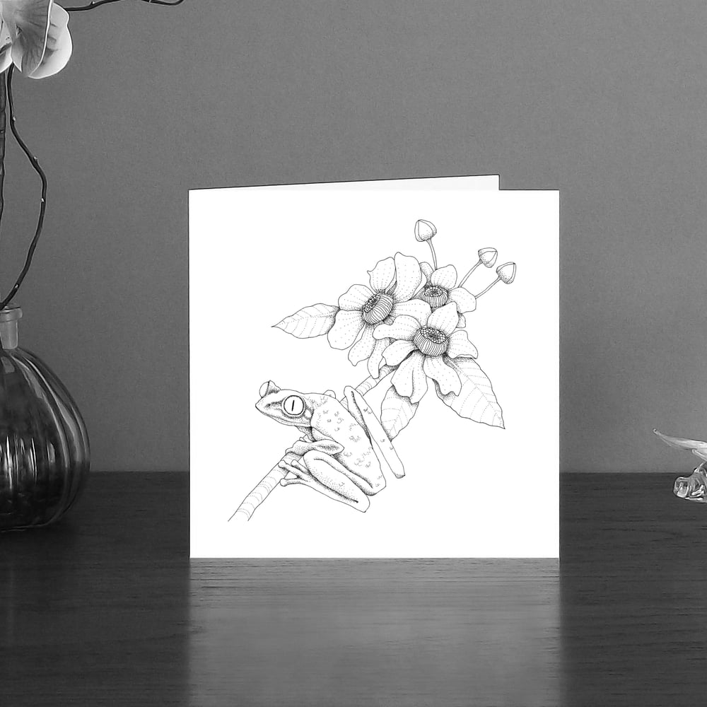 Image of Black & white art card of a Tree frog