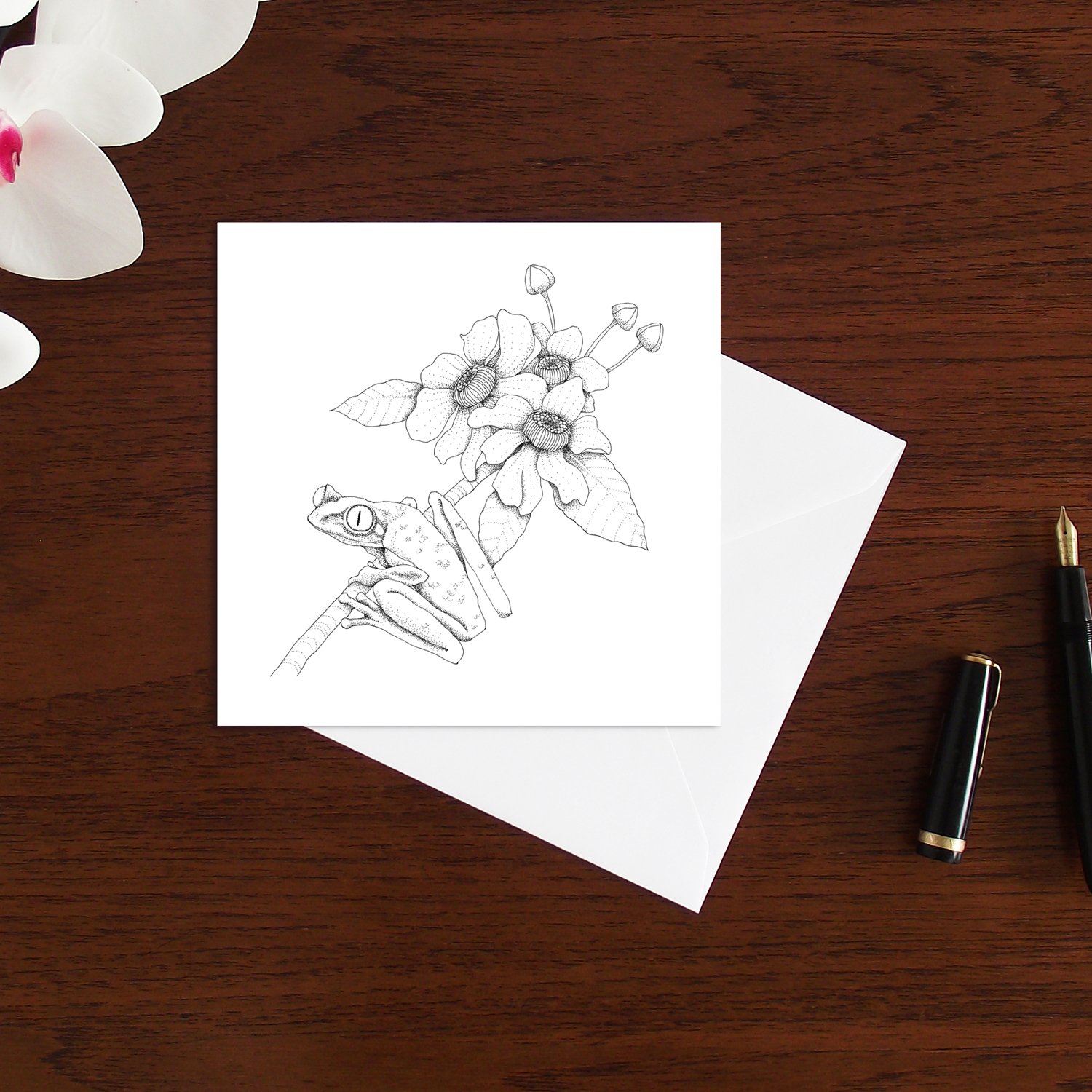 Image of Black & white art card of a Tree frog
