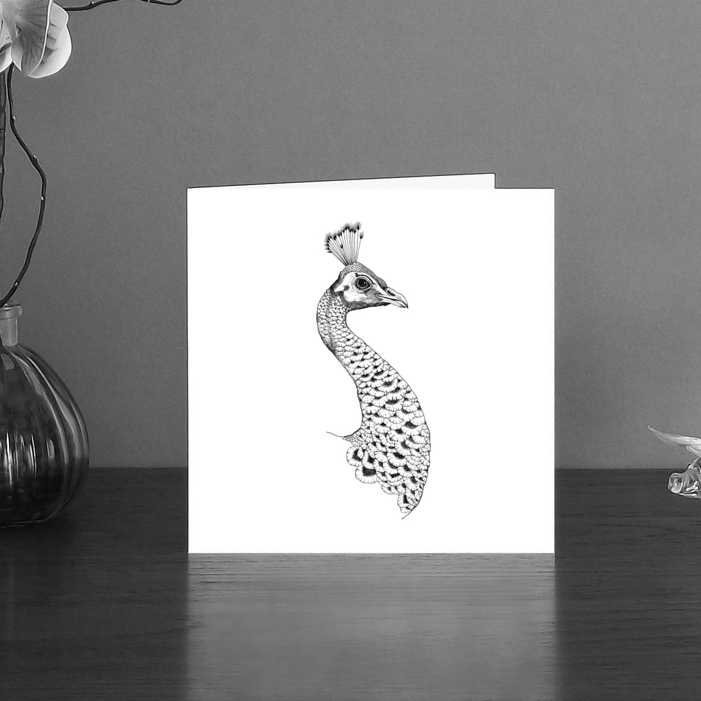 Image of Black & white art card of a Peacock head