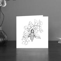 Image 1 of Black & white art card of a Privet hawk moth
