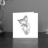 Image 1 of Black & white art card of a Swallow tail butterfly